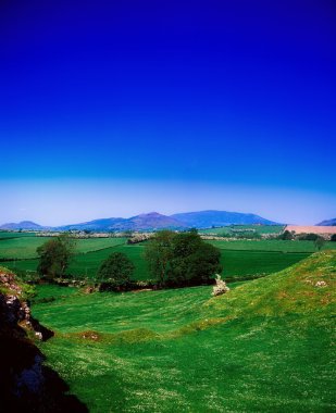 Co louth yakınındaki kale roche, İrlanda