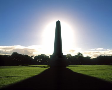 Wellington Övgüleri, phoenix park, dublin, İrlanda