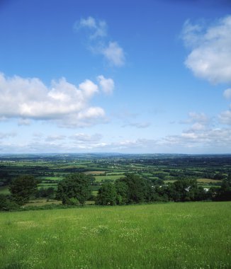pastoral farmscape, borris, co carlow, İrlanda