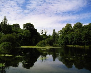 kingscourt, Bayan lake yakınlarında co cavan dun ri forest park, İngiltere