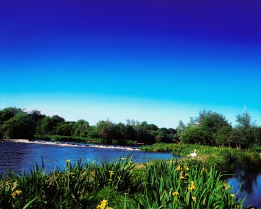 Shannon castleconnell, co limerick, İrlanda