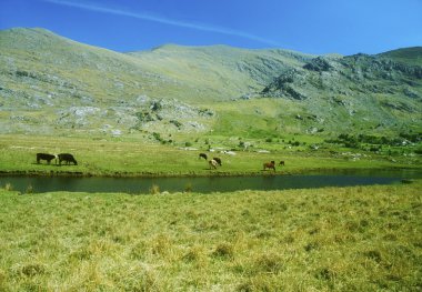 Co kerry, blackvalley, İrlanda