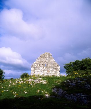 kildimo, co limerick, İrlanda. Çayırda Celtic Arkeoloji