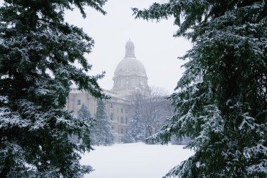 Yasama Meclisi: alberta
