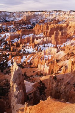 Bryce canyon Milli Parkı, utah, Amerika Birleşik Devletleri
