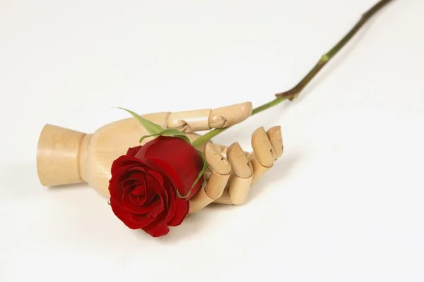 Main factice tenant une rose rouge — Photo