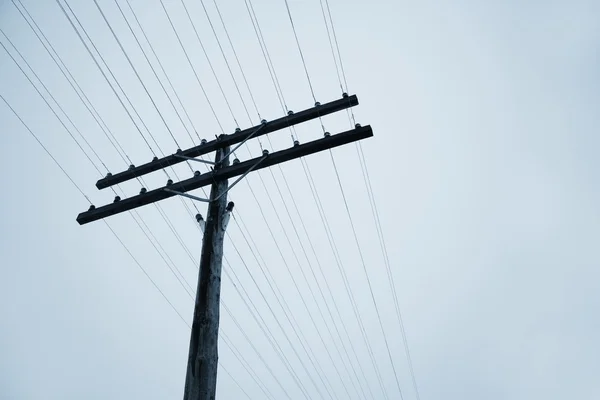 Telephone Pole — Stock Photo, Image