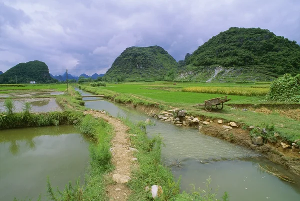 Champs de riz et fossé d'irrigation à Yangshuo, Guanxi, Chine — Photo