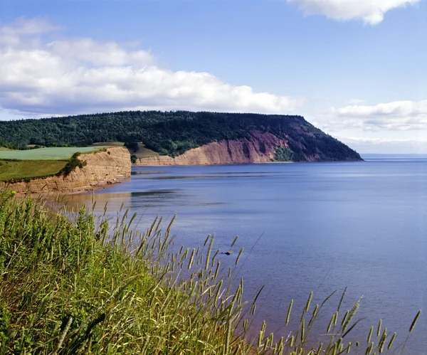 Zatoka fundy, nova scotia — Zdjęcie stockowe