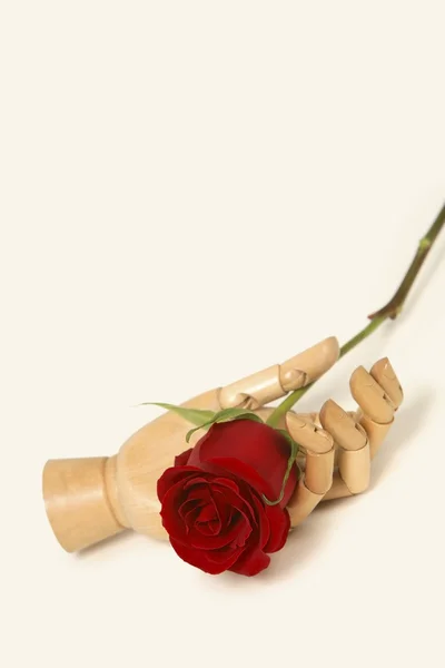 Mannequin Hand Holding A Red Rose — Stock Photo, Image