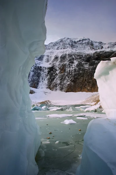 Angel glaciär, berget edith cavell, jasper national park, alberta, Kanada — Stockfoto
