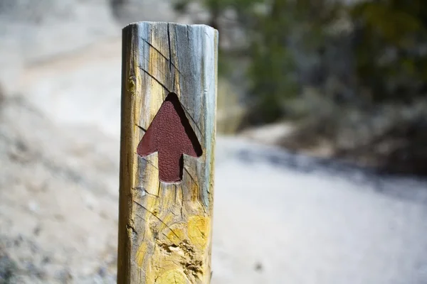 Flecha en el poste señalando hacia arriba — Foto de Stock