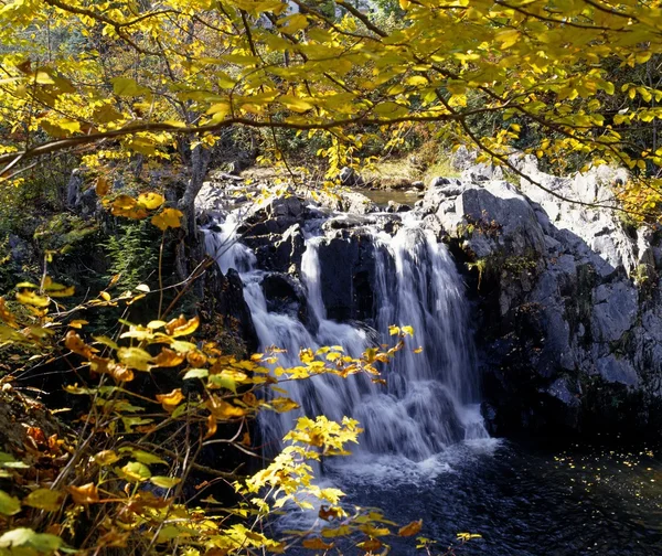 Malým vodopádem mezi stromy木 々の間の小さな滝 — Stock fotografie