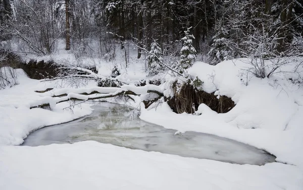 Creek en la nieve — Foto de Stock