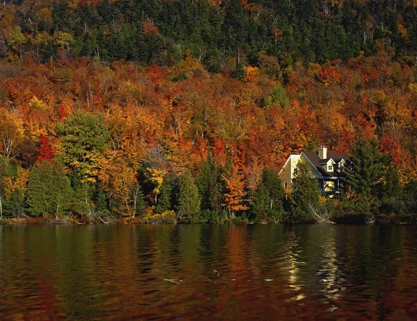 Ferienhaus im Wald — Stockfoto