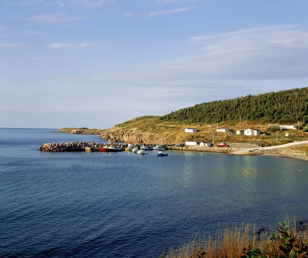 Nova Scotia doğal kıyı — Stok fotoğraf