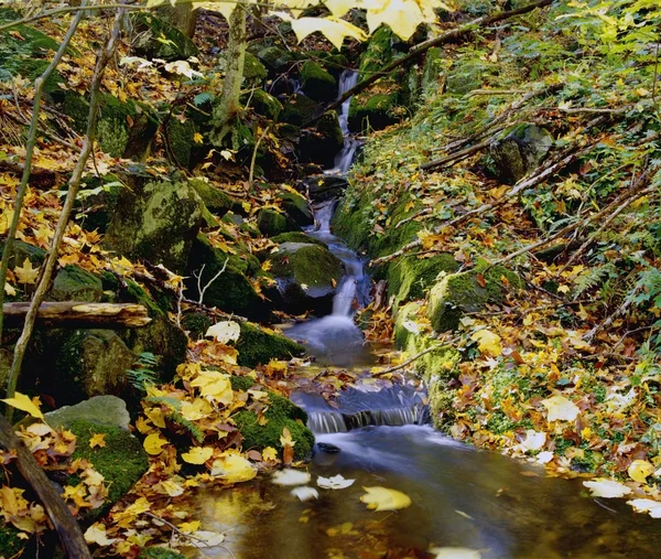 Vloeiende stream — Stockfoto