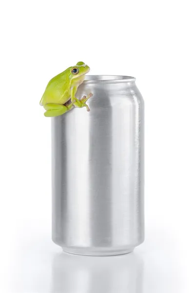 Grüner Laubfrosch auf einer Aluminiumdose — Stockfoto