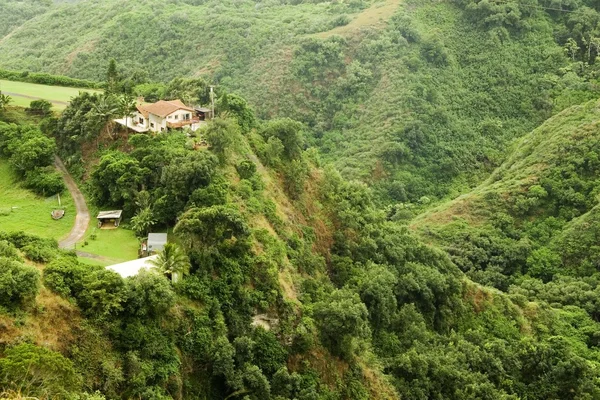 Uma casa em uma colina com vista para a selva — Fotografia de Stock