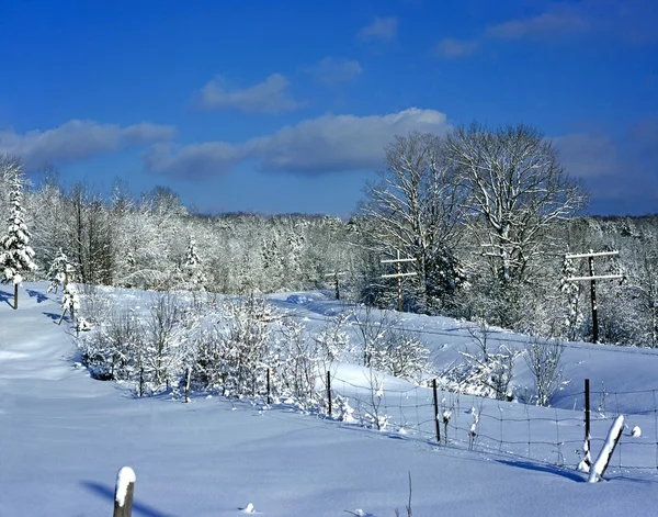 Vinter scen — Stockfoto