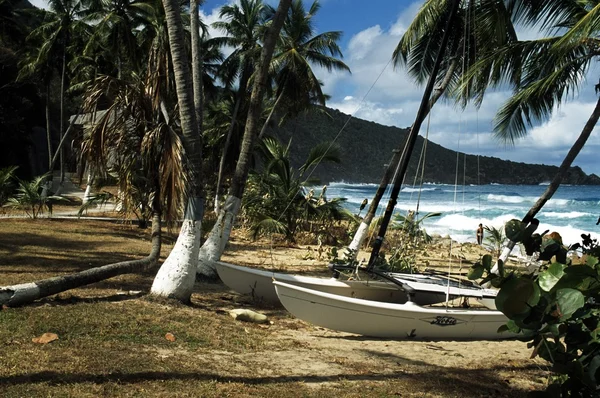 Boats On The Shore Of West Indies Island — Stock Photo, Image