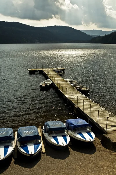 Resort Lake, Schwarzwald, Tyskland - Stock-foto