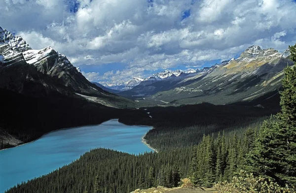 Meer en de bergen in de Canadese rockies — Stockfoto