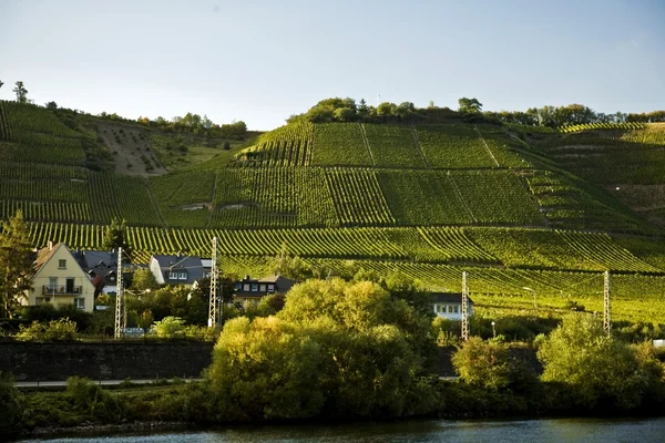 Moselle Valley And River, Germany — Stock Photo, Image