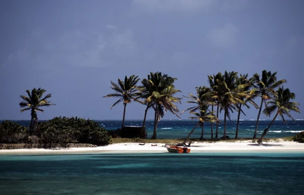 A Beach In The West Indies — Stock Photo, Image