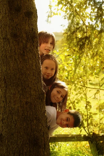 Kinderen verstopt achter boomstam — Stockfoto