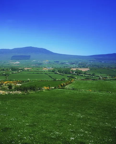 Półwysep Cooley, co louth, Irlandia — Zdjęcie stockowe