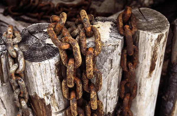 Correntes enferrujadas em postagens de madeira — Fotografia de Stock