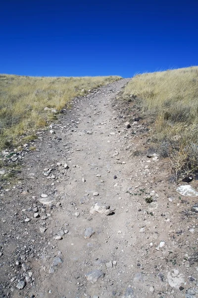 Rotsachtige trail — Stockfoto