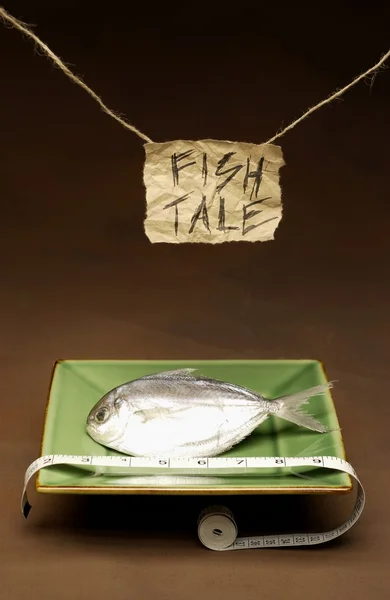 Concept Image Regarding 'fish Tales' — Stock Photo, Image