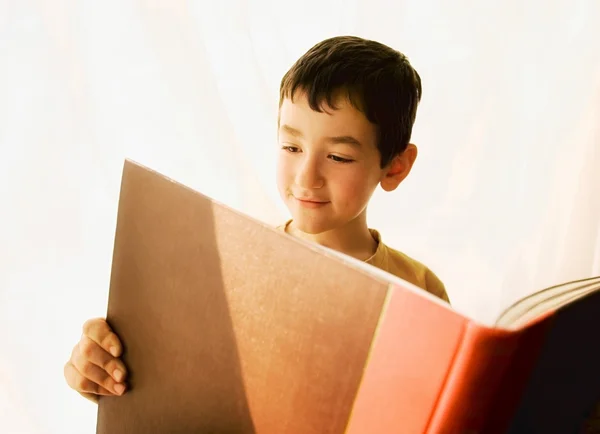 Ragazzo che legge un libro — Foto Stock