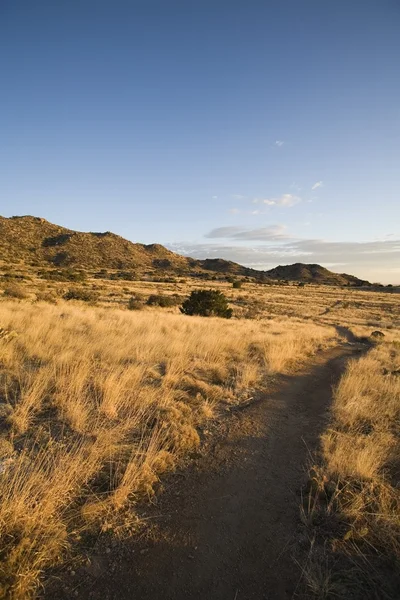 Шлях у високих пустелі передгір'я — стокове фото