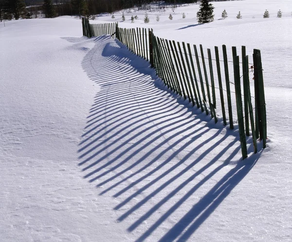 Sneeuw hek — Stockfoto