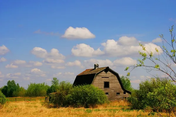 Terk edilmiş ahır — Stok fotoğraf