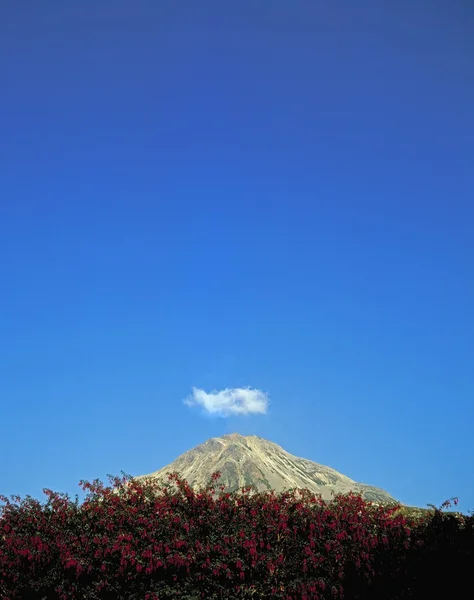 Errigal Mountain, comté de Donegal, Irlande — Photo