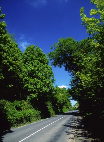 Road In The West Shore, Лох-Свилли, Ирландия — стоковое фото