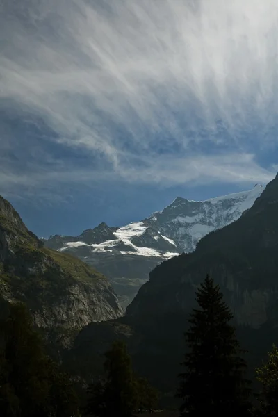 Schweiziska Alperna — Stockfoto