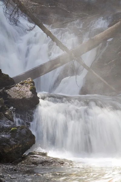 Wasserfälle mit Baumstämmen — Stockfoto