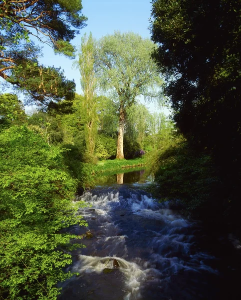 Co Offaly, River Camcor, Ireland — Stock Photo, Image