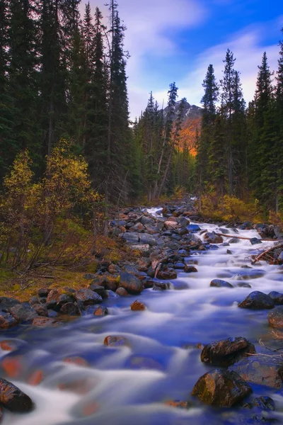 Moraine Creek, Banff National Park, Alberta, Canada — Stock Image Moraine Creek, Banff National Park, Alberta, Canada Stock Photo