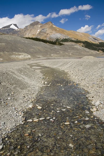 Stream In Mountains, Jasper National Park, Alberta, Canada — Stock Image Stream In Mountains, Jasper National Park, Alberta, Canada Stock Picture