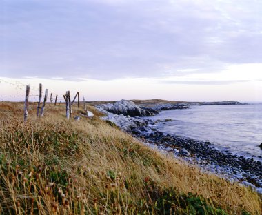 Grassy Shoreline, Lockeport, Nova Scotia clipart