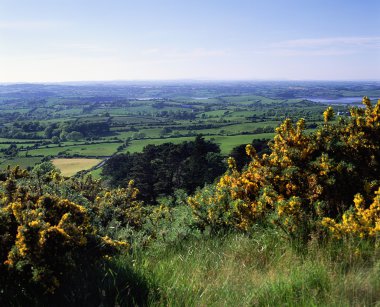 s anıt, co armagh, İrlanda