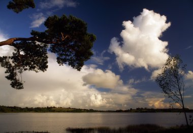 Co cavan, Göl kıyısındaki, İrlanda