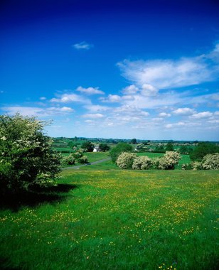 Pastoral, Co Kildare, İrlanda