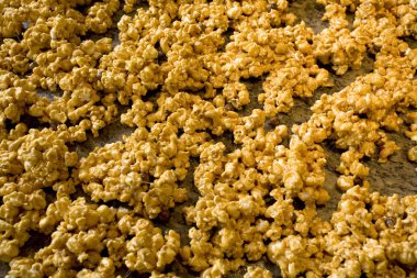 Carmel patlamış mısır